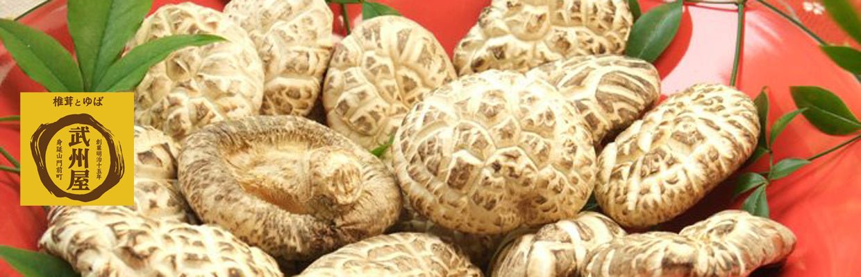 Bushuya - yunomi-jp.pro