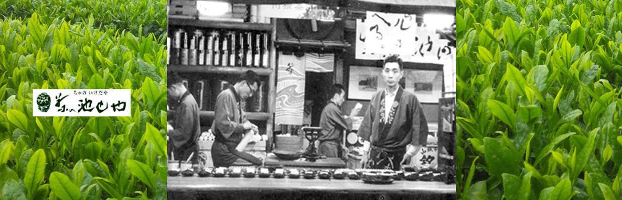 Cha no Ikedaya - yunomi-jp.pro