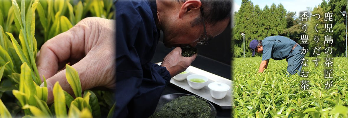 Furuichi Seicha - yunomi-jp.pro