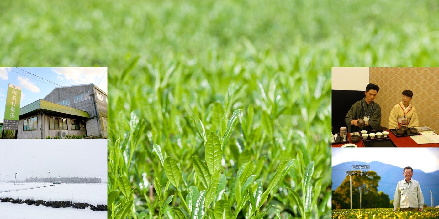 Hagimura Tea Factory - yunomi-jp.pro