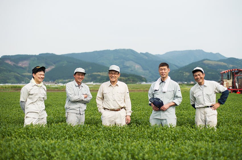 Miyazaki Kamimizu Tea Farm - yunomi-jp.pro