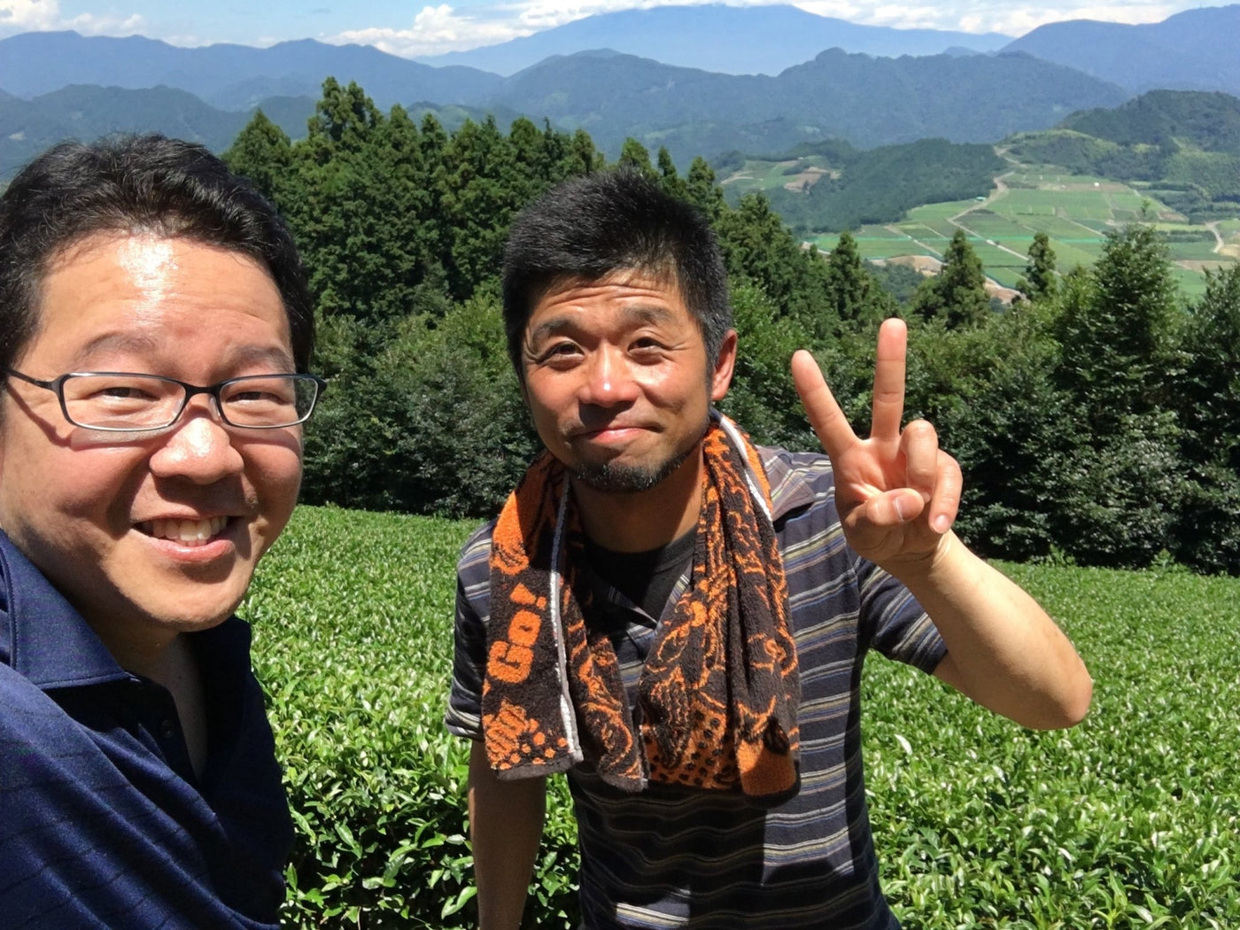 Murakami Tea Garden - yunomi-jp.pro