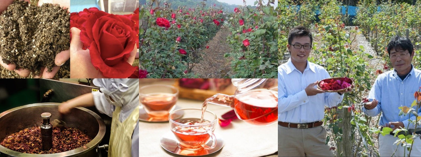 Okuizumo Rose Garden - yunomi-jp.pro