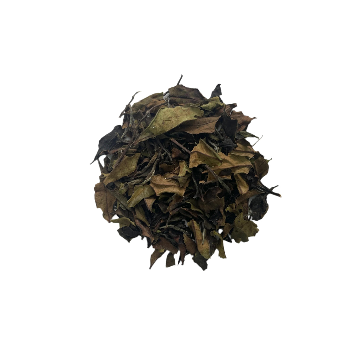 #0109.K6 Azuma Tea: Naturally Grown Spring Yamato Midori White Tea from Kyoto (Experimental) やまとみどり白茶