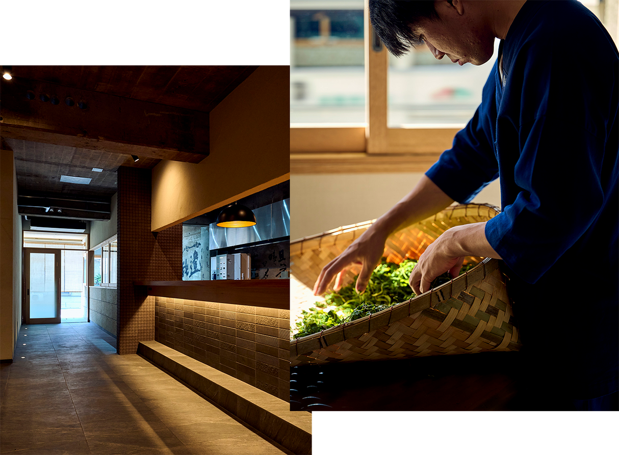 #0231.K2 中村梅沙:霧島煎茶 浅乃香(単一品種)