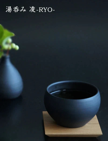SALIU - Black Tokoname Kyusu Tea Pot -RYO- 急須 凌
