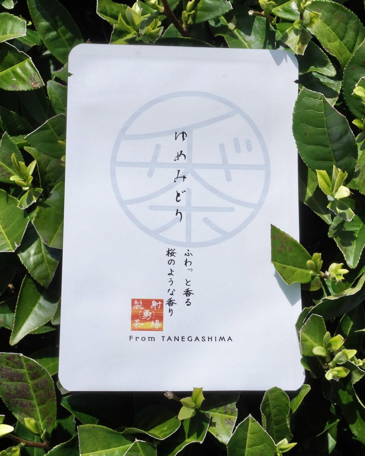 PREORDER available late April 🍵 2026 #0328.K2 Iba Yu Tea Garden: Tanegashima Single Cultivar Sencha - Yume Midori (April harvest, micro batch, limited)