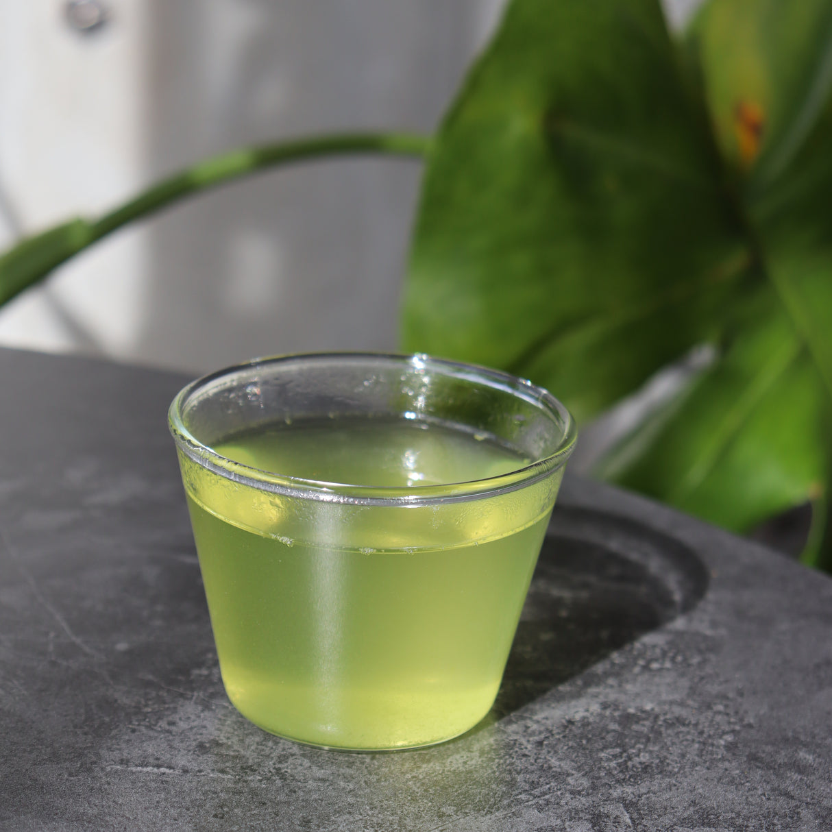 PREORDER available June 🍵 2026 #0745.S2 Yokota Tea Garden: Sayamacha Okumidori Fukamushicha おくみどり