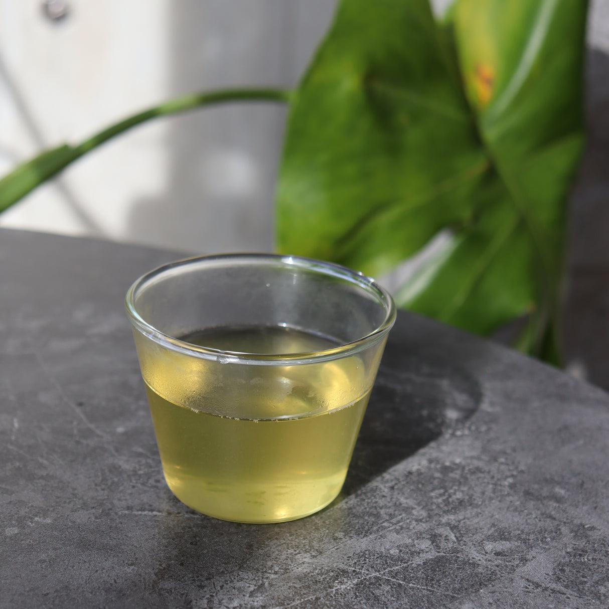 (while stock last) #0701.K6 Uejima Tea Farm: Single Cultivar Samidori Sencha (Superior) from Wazuka, Kyoto