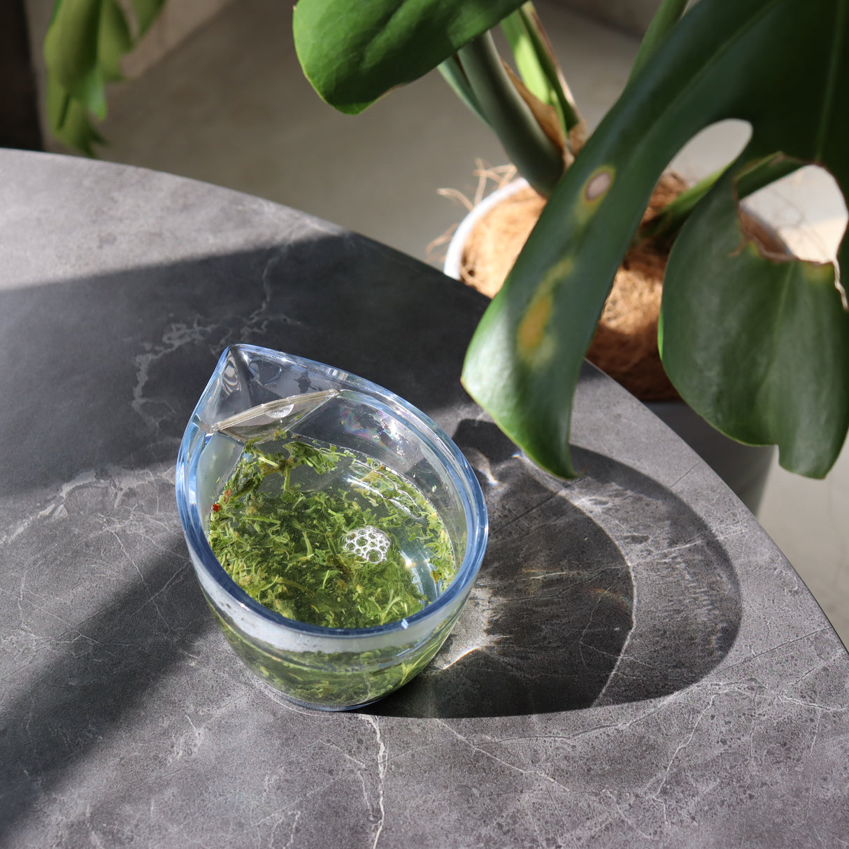 #0310.K2:有機屋久島煎茶「ひそか」ゆたかみどり|屋久島八万寿茶園