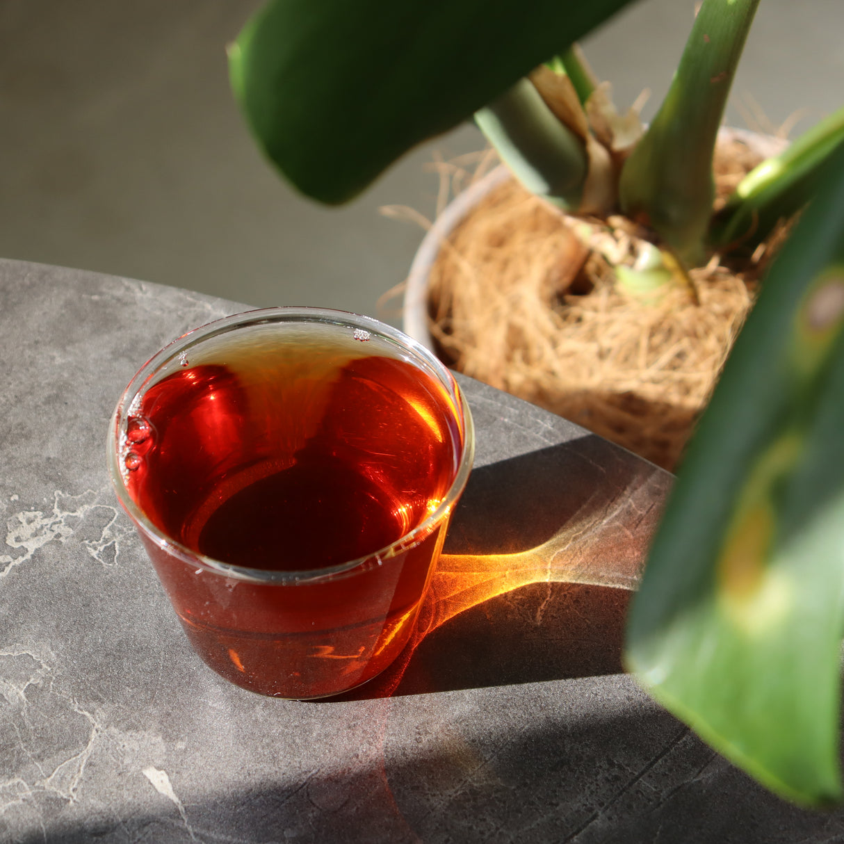 #0426.K2 Koukien Tea Garden: Wakocha Benifuuki Single Cultivar - Naturally Grown in Kirishima, Kagoshima