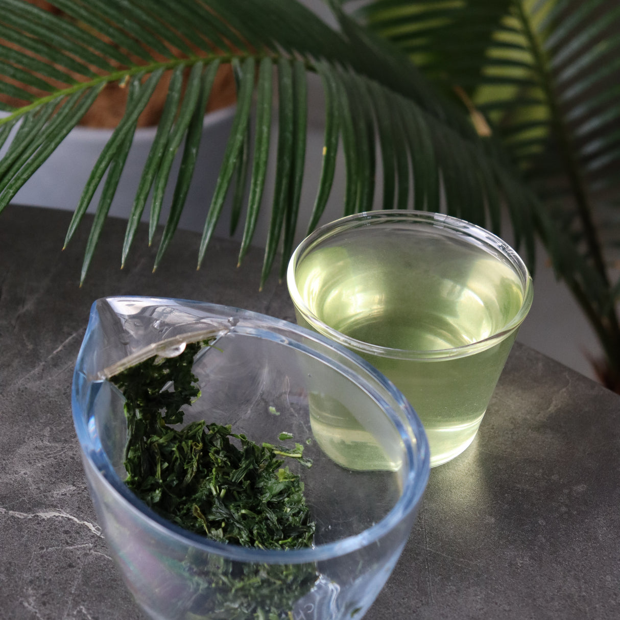 2025 #0700.K6 上島茶園:京都和束町産単一品種やぶきた煎茶