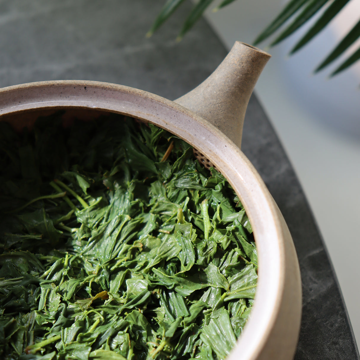 #0424.K2 古貴園茶園 浅虫かぶせ茶 ~川口姉妹の霧島茶 爽やかなひととき~ 極上のホッと一息