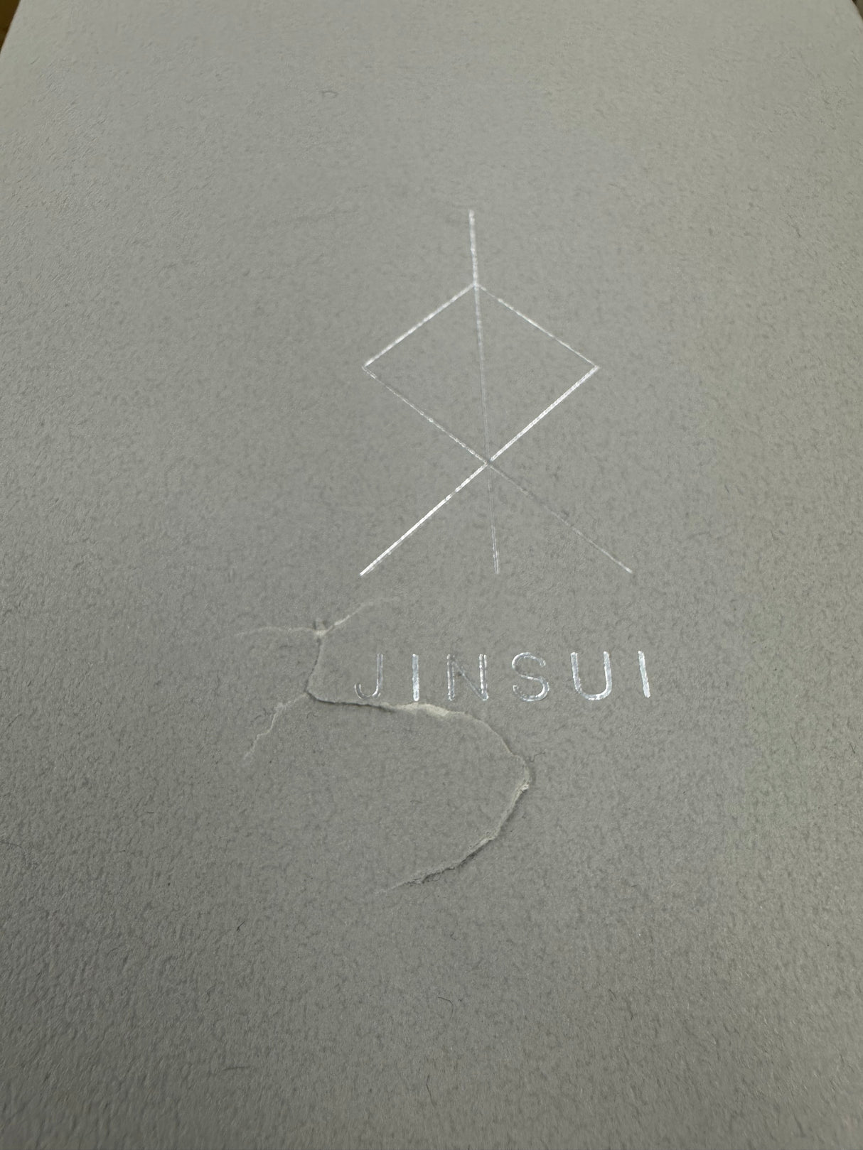 Jinsui Kiln: TOKI maru - SUMIKURO, Round Tokoname Kyusu Tea Pot (290ml, Black)