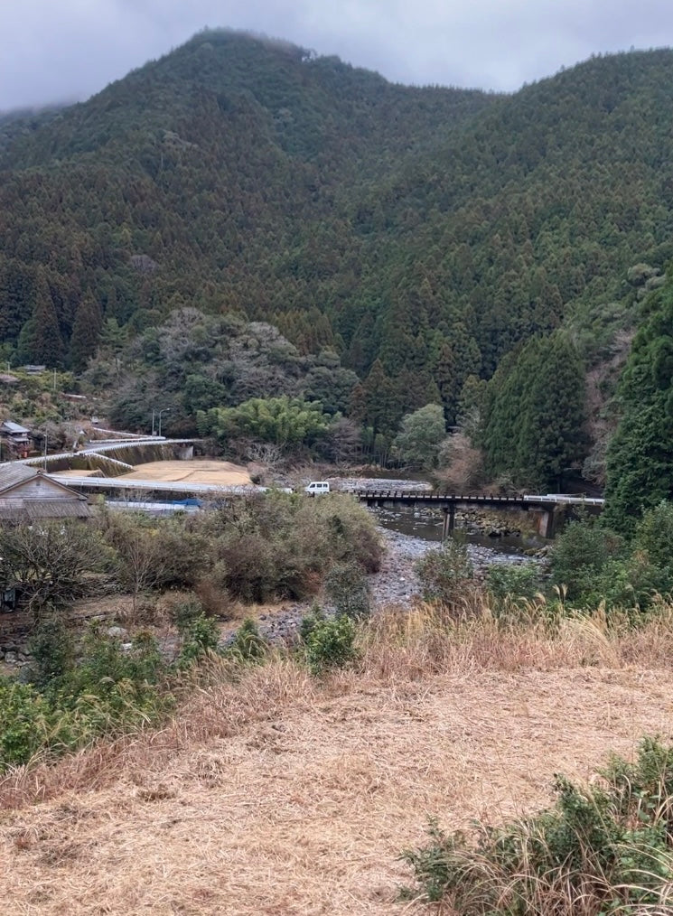 #0834.T2 Shishikui Kancha from Tokushima Prefecture - Handpicked by Farmer Akemi Ishimoto