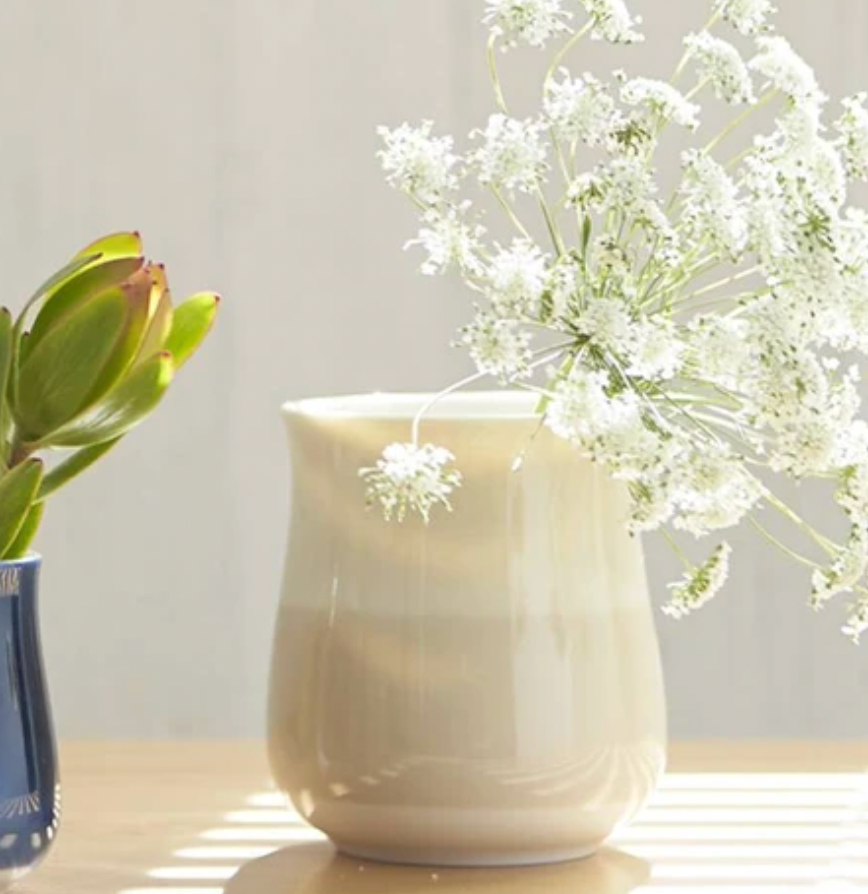 Miyama Minoyaki Large Oval Cup (Light Gray / Gray) ポット(ライトグレー/グレー)