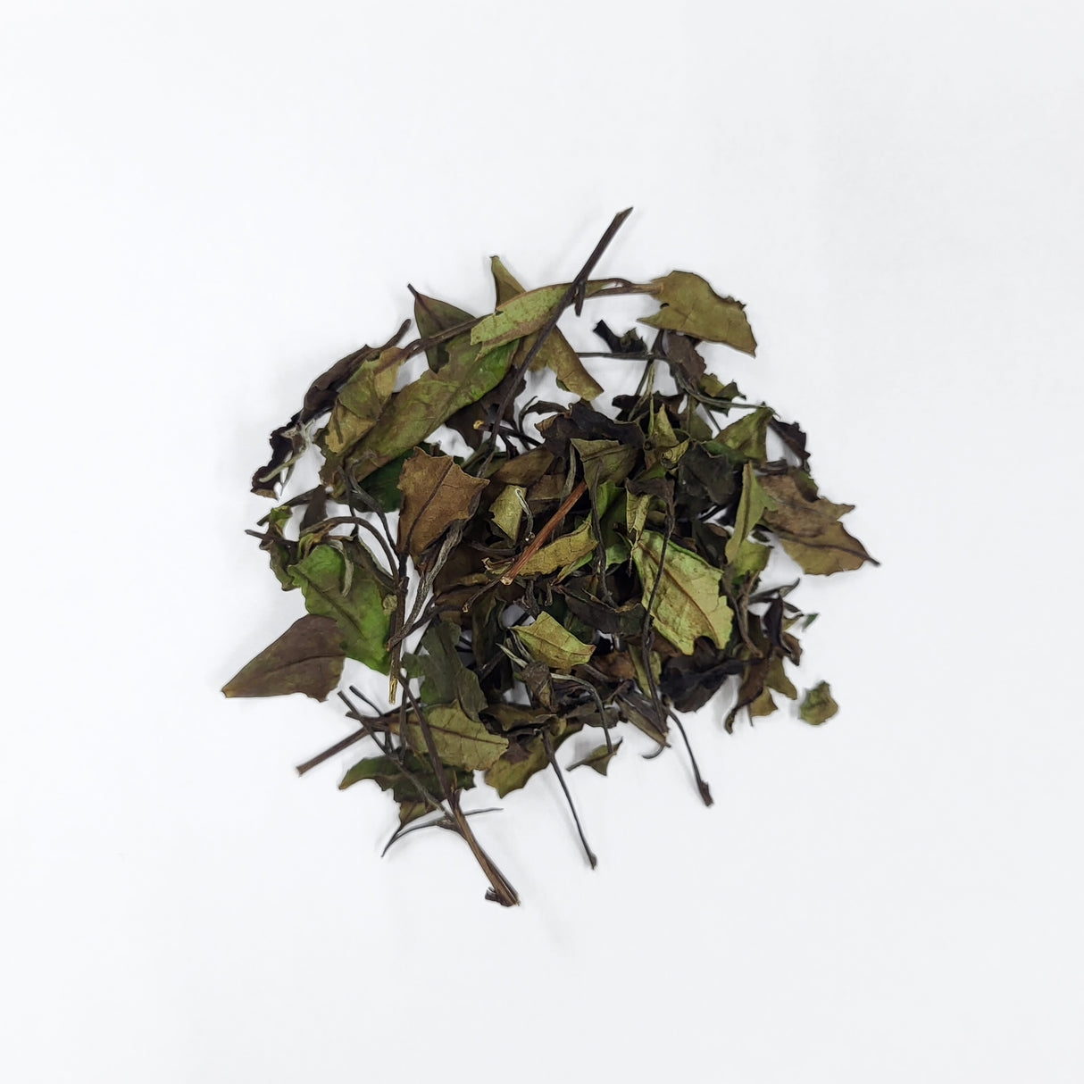 #0107.K6 Azuma Tea: Naturally Grown Spring Samidori White Tea from Kyoto (Experimental) さみどり白茶