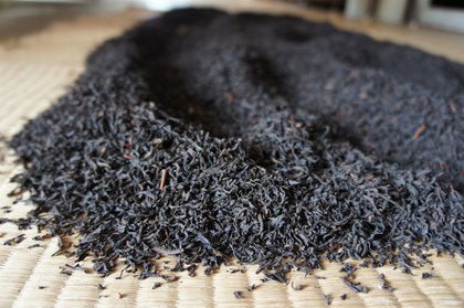 Ogura Tea Garden: Yabukita Wakocha First Flush Black Tea from Ashigara, Kanagawa 足柄産のやぶきた紅茶 - yunomi-jp.pro