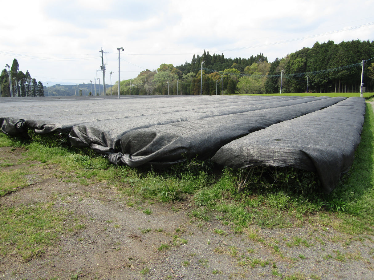 #0912.S5 Premium Barista Grade Matcha - Yanagi 柳 - Oyaizu Tea