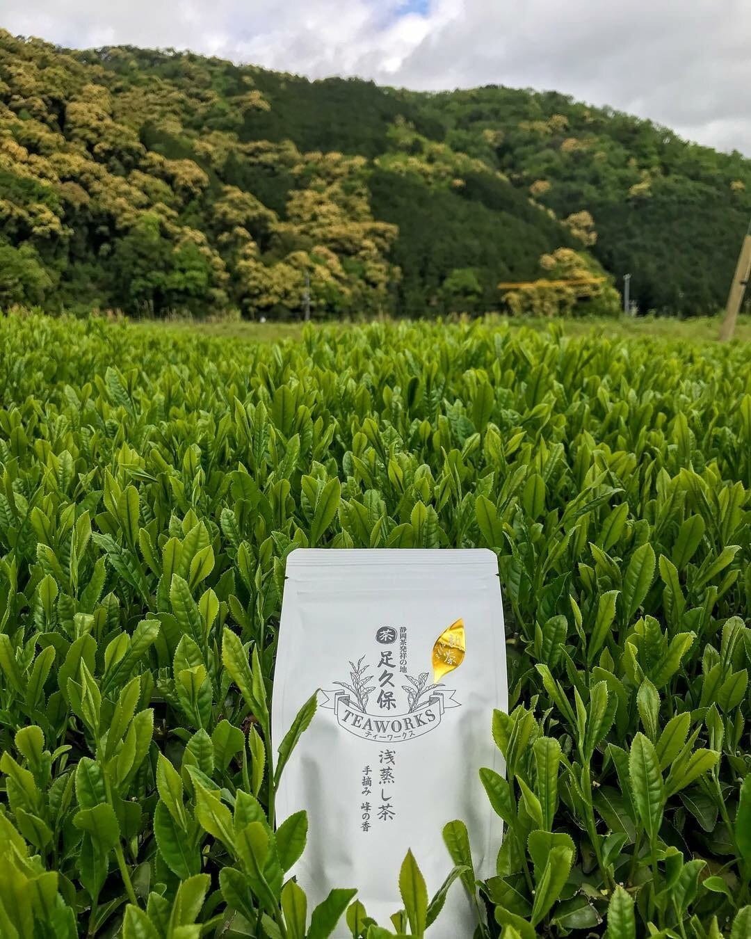 Ashikubo Teaworks: 2022 Handpicked Asamushi Sencha Mine no Kaori 足久保 浅蒸し茶 手摘み 峰の香 - yunomi-jp.pro