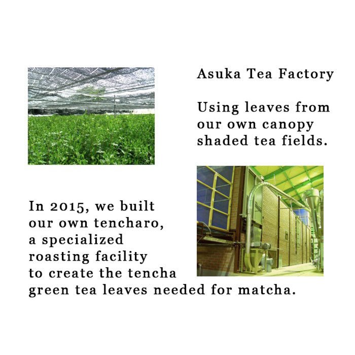 Asuka Tea Factory: Sayama Matcha, Myoushou Green 狭山抹茶明松 みどり - yunomi-jp.pro