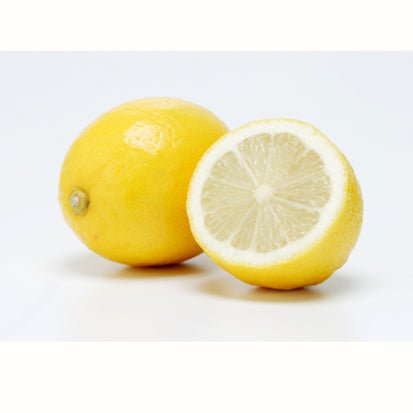 Chasandai: Cold-Brew Lemon Green Tea (5g x 5 tea bags) - yunomi-jp.pro