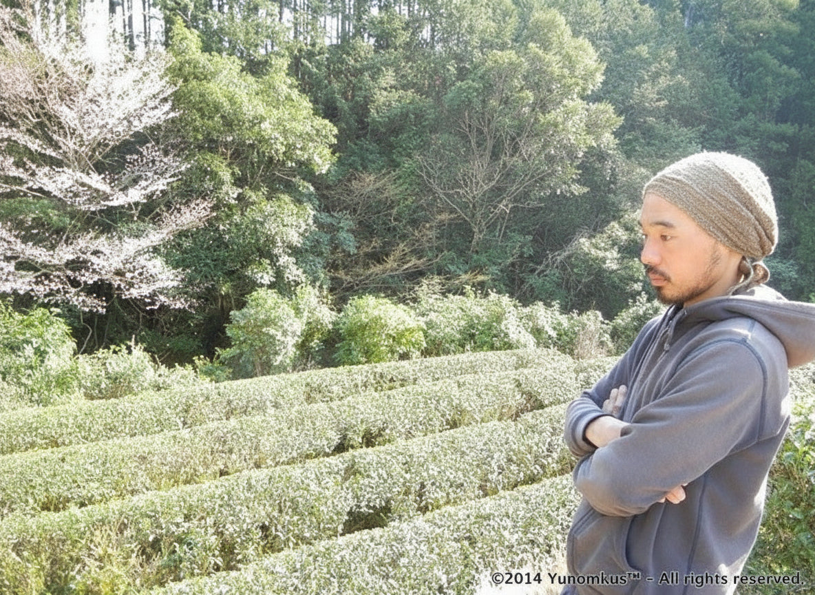 Dokodemosora #02: Naturally Grown Wakayama Superior Hojicha Roasted Green Tea - yunomi-jp.pro