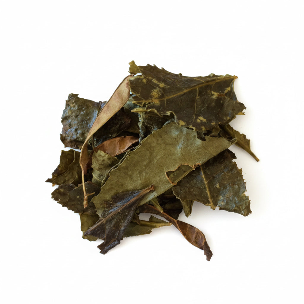 Furyu: Tosa Bancha ふりゅう 土佐番茶 - yunomi-jp.pro