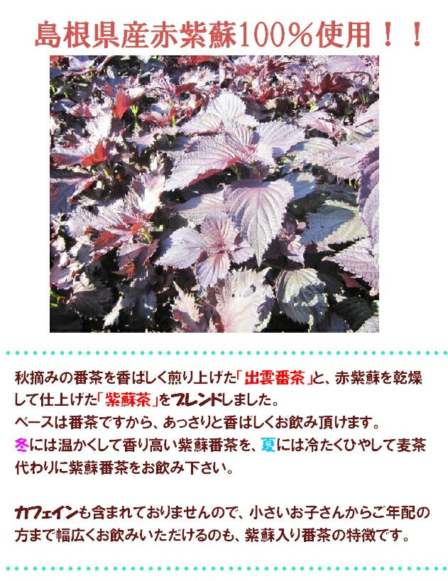 #0533.S4 Murasaki Shiso Bancha from Ocha no Sankoen, Shimane, Japan