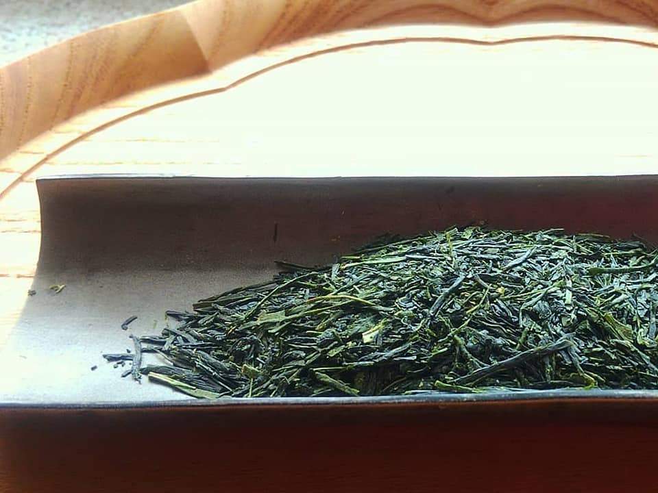 Kuma Tea Garden: 2022 Yamecha Mountain-Grown Sencha Yabukita 奥八女 上陽茶 やぶきた - yunomi-jp.pro