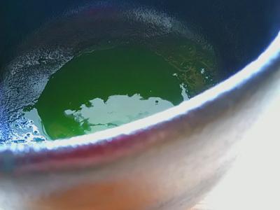 Kuma Tea Garden: Heritage Grade Yame Matcha Saemidori (20g) - yunomi-jp.pro