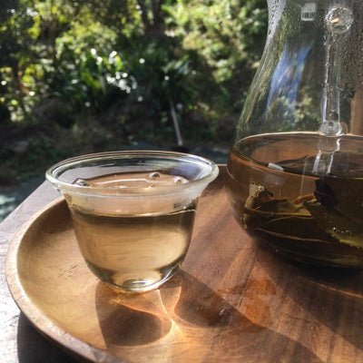 Mitocha NR006: Makibi Kancha Firewood Winter Green Tea (Aged) 薪火寒茶 - yunomi-jp.pro
