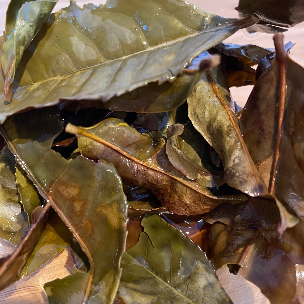 Mitocha NR006: Makibi Kancha Firewood Winter Green Tea (Aged) 薪火寒茶 - yunomi-jp.pro