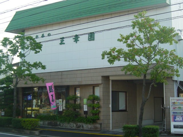 Nama Toubancha: Non-Steamed Green Tea from Ocha no Sankoen, Shimane, Japan - yunomi-jp.pro