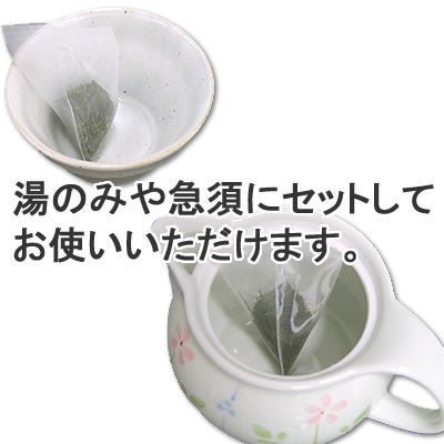 Seiwa 18734: Flat or Pyramid Mesh Tea Bags, 55 x 80 mm - yunomi-jp.pro