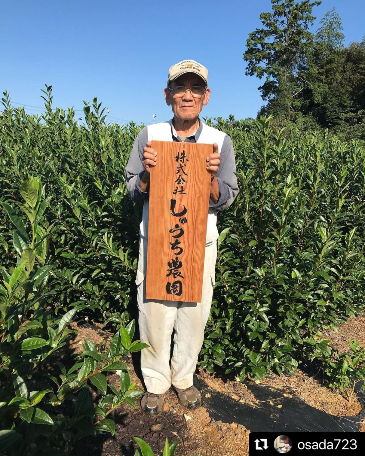 Shuchi Tea Garden: Fukamushicha Green Tea, Kirari 31 Single Cultivar, 2022 Nihoncha Awards Platinum Medal Winner, Refined by Osada Tea - yunomi-jp.pro