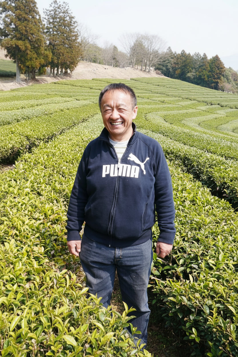 Tarui Tea Farm: 2022 Organic Sencha - Shurei, Elegant Beauty 有機 秀麗 - yunomi-jp.pro