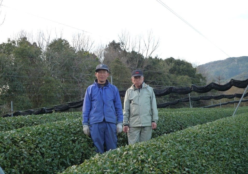 Tea Farmer Shinichi Kihara: 2022 Naturally Grown Kyoto Kabusecha (Single Cultivar Gokou) 自然栽培かぶせ茶ごこう - yunomi-jp.pro