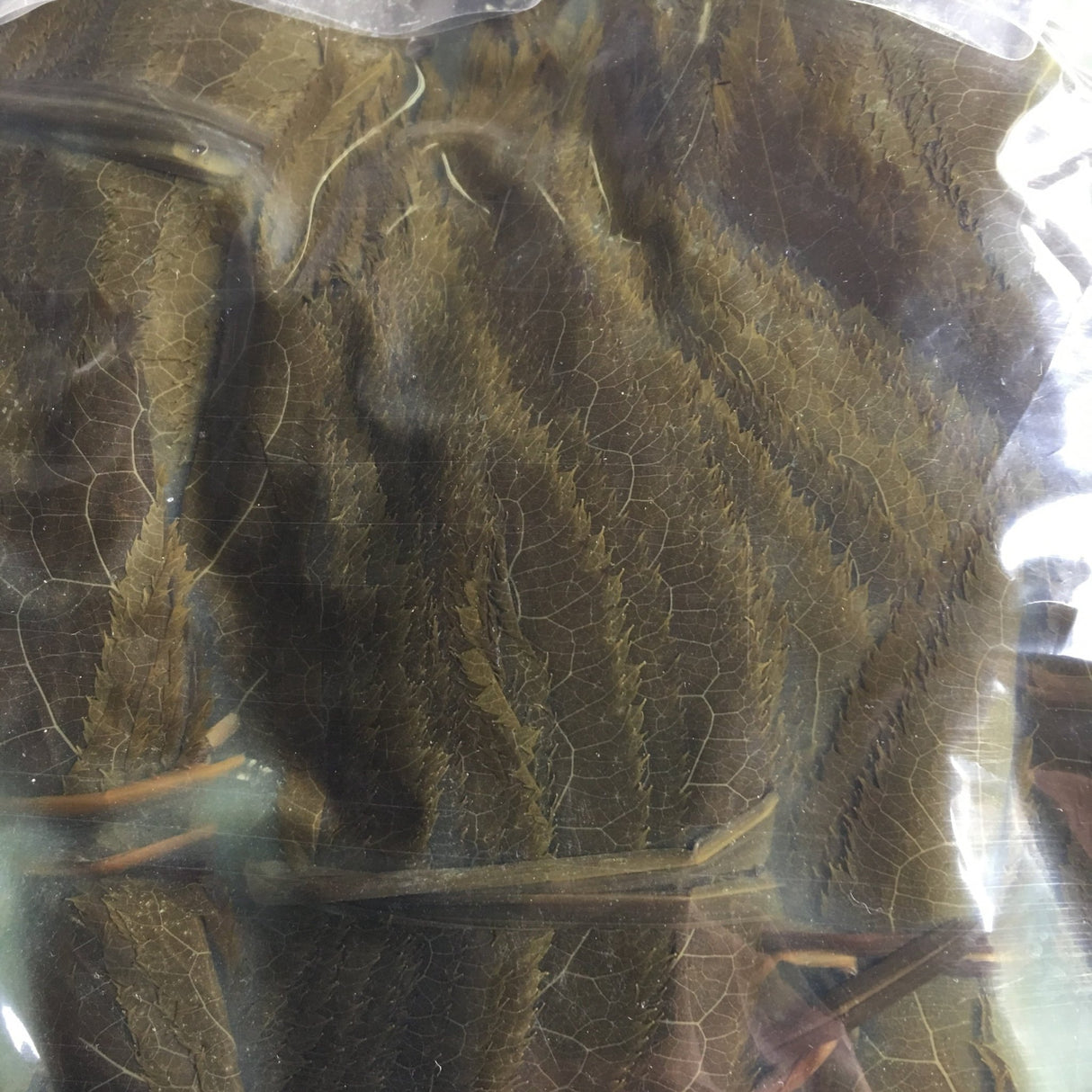 Tomiz: Pickled Sakura Leaves from Izu Peninsula, Shizuoka 桜葉の塩漬(伊豆産) - yunomi-jp.pro