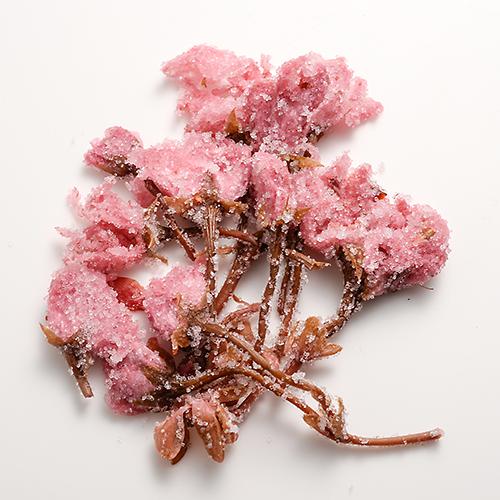 Tomiz: Salt-Pickled Sakura Blossoms (Japanese-grown) 桜花の塩漬 - yunomi-jp.pro
