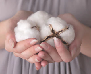 スバルの生分解性コットン(ベンリーゼ™)入りティーバッグ