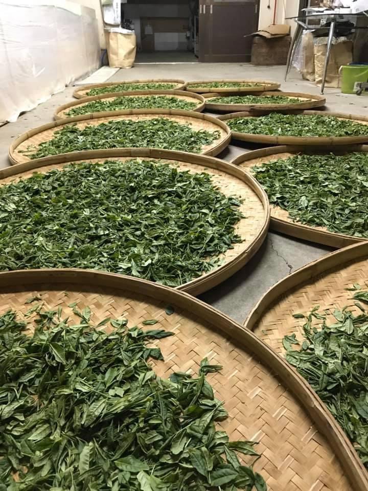 Withered Sencha Green Tea - #01 Yume Wakaba, Single Cultivar by Okutomi Tea Garden - yunomi-jp.pro