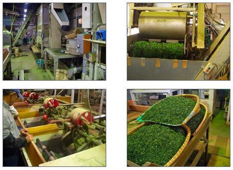 2016 Statistics on Tea Production in Japan - yunomi-jp.pro