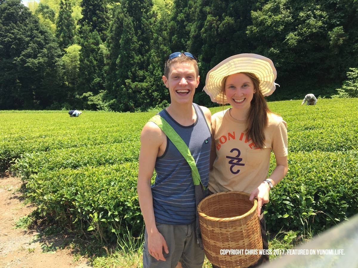 A Visit to the NaturaliTea Tea Farm and Making Black Tea in Shizuoka - yunomi-jp.pro