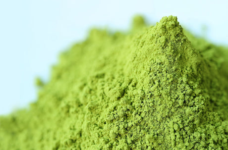 How Matcha Storage Temperature Affects Quality