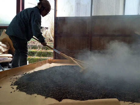 Discover Japanese Tea: Sannen Bancha - yunomi-jp.pro