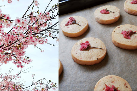 Eat and Taste Sakura Blossoms! - Sakura Biscuits Recipe - - yunomi-jp.pro