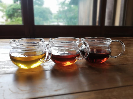 Hojicha Roasting Experiment - yunomi-jp.pro