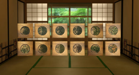 Introduction to Japanese tea, a short guide - yunomi-jp.pro