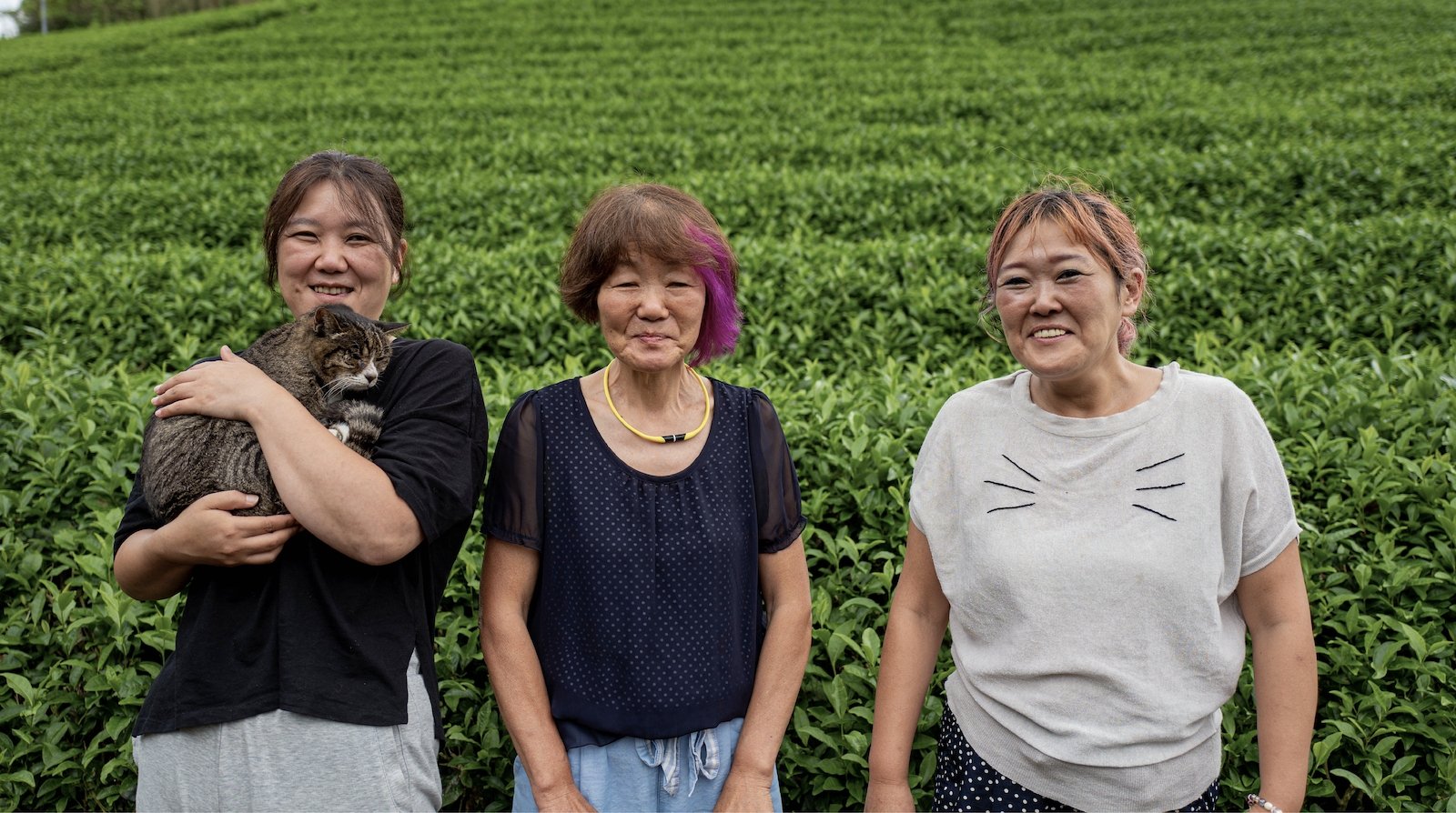 Kiroku Tea Garden: Women Owned Tea Farm - yunomi-jp.pro